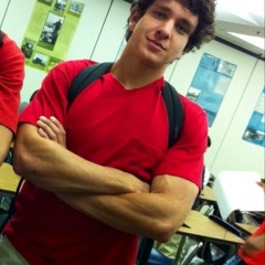 _Lincoln The Bruiser