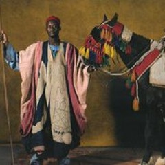 Ngcambuجذور الشجرة