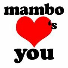 Mambo Torquay