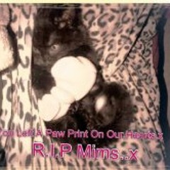 Stephy Jade Tucker-x