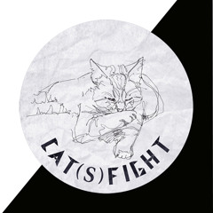 Cat(s)fight