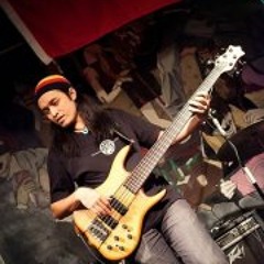 Fly Bassman II