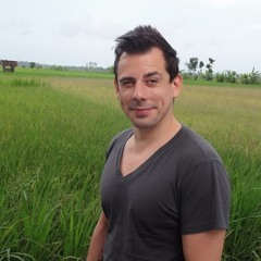 Chris Meulmeester