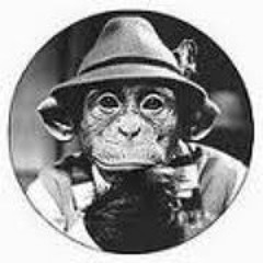 Jelle van Nieuwenhuizen