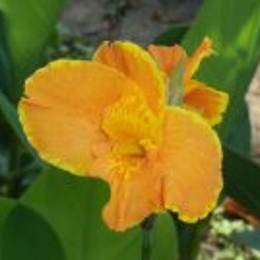 Nortec Collective: Bostich ➕ Fussible