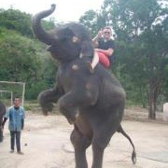 Magiske Marius Klyve