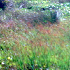 theglisteningsundusts&gat