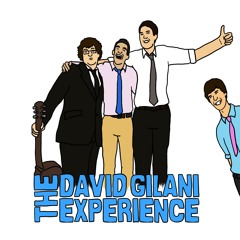 David Gilani Experience