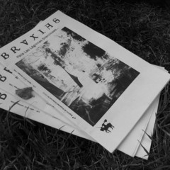 BRVXIAS zine, publicación