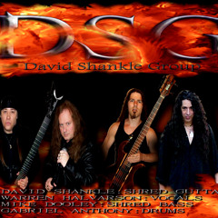 DSG/David Shankle Gorup