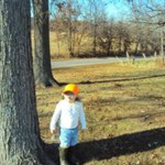 Brandi N Austin Ellis