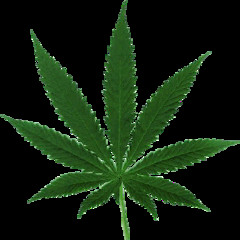 HIGH $SOCIETY MINIMIX