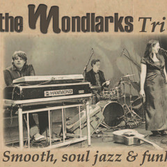 you Don't know what love is The Mondlarks hammond b3 trio