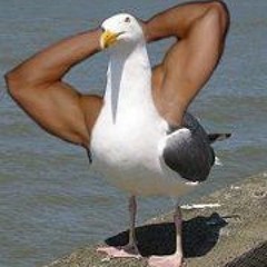 hotjaume@hotmail.com