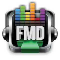 FMDigital
