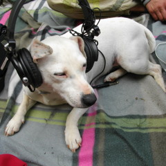 Jessimay On'sait jamais