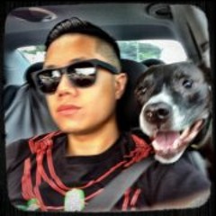 Stefan Nycelife Barba