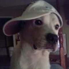 JROC RECORDS & ENT L.L.C