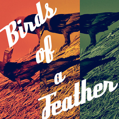 Stream Birds Of A Feather Music Listen To Songs Albums Playlists