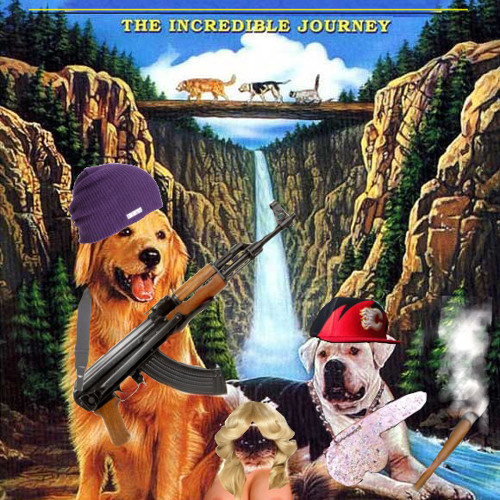 Stream BUCKWHEAT GROATS music Listen to songs, albums, playlists for