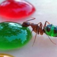 Jonathan Anaya Martinez