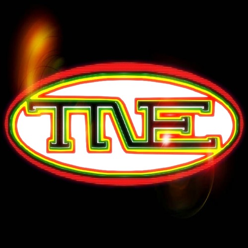 TNE records’s avatar