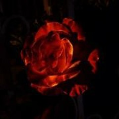 Hannah Olia Wang-Ferraro