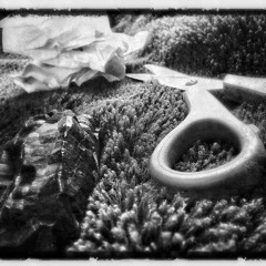 Rock Paper Scissors Music