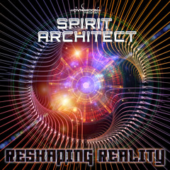02- Spirit Architect - Newborn.wav