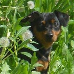 Melissa Marie Christman