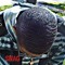 Eliezer Tryed