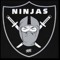 ItsTheNinja