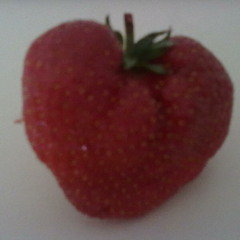 Paulo olarte - bounce of love (elektrosmoker edit)