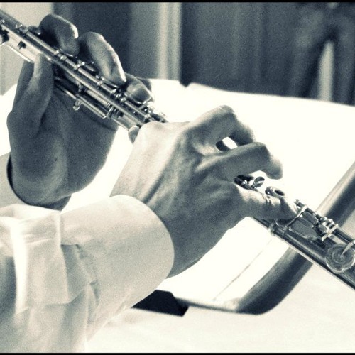 Canon in D Major, Johann Pachelbel (flute and harp)