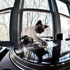 IllıFlavio Llııllı Souza