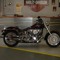 Harleybob