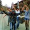Michael G Etc
