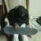 Queezy Q