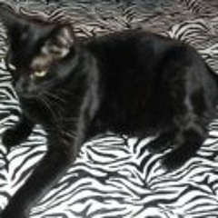 Christine RadiatioNation