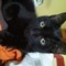 Antho Nyny