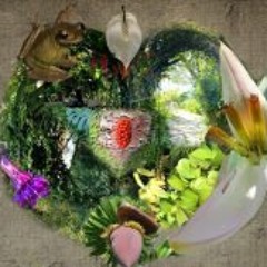 Alejandra Fernandez 10