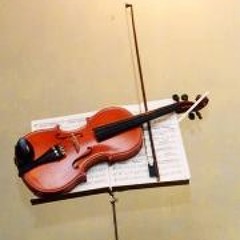 persian.violin