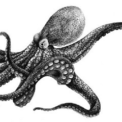 Octopussy Listener