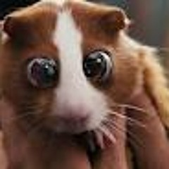 Marianna Kullo Zaragoza