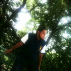 Pav!T