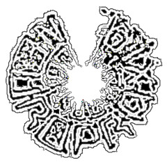 coprolalianeuropraxia