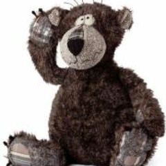 Roy Bär 4