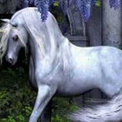 Talitha van Der Merwe