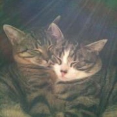 Eva-Maria Hillenbrand