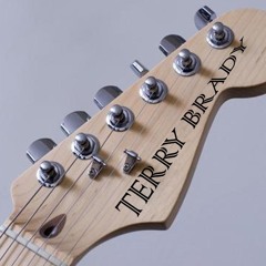 The Terry Brady Experienc